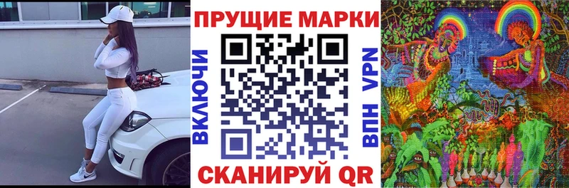 Купить закладки  Волхов  Наркотические марки 1,5мг 